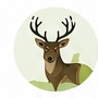 Wildlife biologist illustration